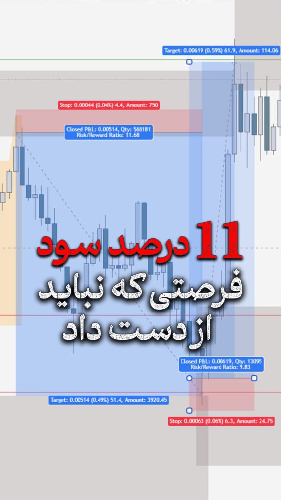 چگونه در فارکس حرفه‌ای شویم